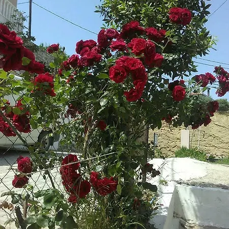 Apartman Ekali