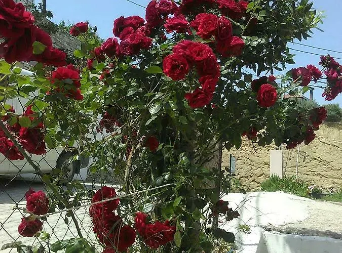 Διαμέρισμα Ekali